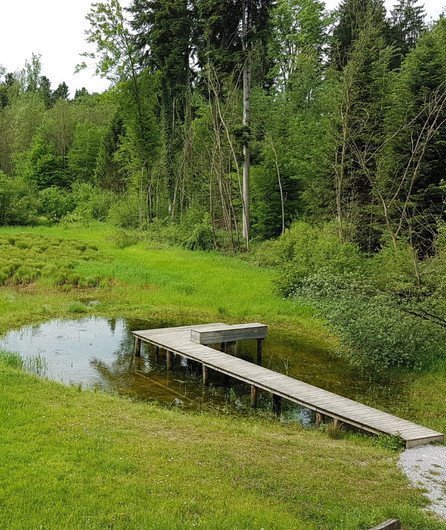 small pond
