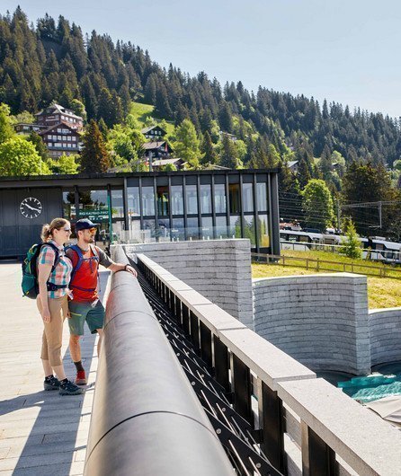 Family at a viewpoint